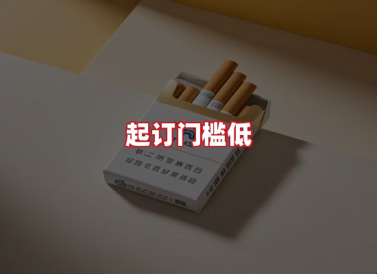 专业团队